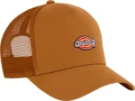 Dickies Hanston Trucker Cap Brown Duck DK0A4YV30BD1