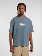 Dickies Lewistown Embroidered T-Shirt Stormy Weather DK0A4Z94G701