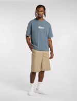 Dickies Lewistown Embroidered T-Shirt Stormy Weather DK0A4Z94G701 - Image 3