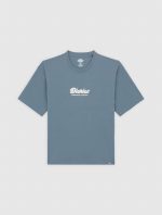 Dickies Lewistown Embroidered T-Shirt Stormy Weather DK0A4Z94G701 - Image 6
