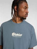 Dickies Lewistown Embroidered T-Shirt Stormy Weather DK0A4Z94G701 - Image 2