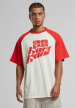 KARL KANI SIGNATURE COLORBLOCK RAGLAN T-SHIRT WHITE KM252-031-1 - Image 4