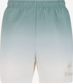KARL KANI RETRO SWIM SHORTS GREEN 252-046-1 - Image 2