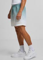 KARL KANI RETRO SWIM SHORTS GREEN 252-046-1 - Image 5