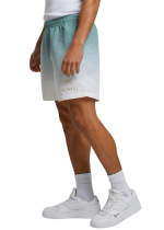 KARL KANI RETRO SWIM SHORTS GREEN 252-046-1