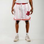 Bee Unusual Basketball Retro Shorts White-Red AB-259004 - Image 2