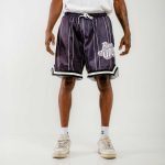 Bee Unusual Basketball Retro Shorts Black-Grey AB-259005 - Image 2