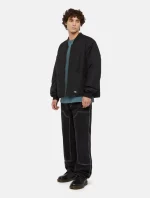 DICKIES UTILITY FRONT DENIM DARK INDIGO DK0A4YPX0DD1 - Image 5