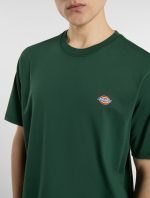 DICKIES MAPLETON TEE PINE NEEDLE GREEN DK0A4XDBL161 - Image 2