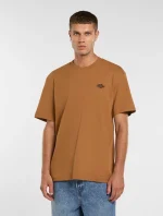 DICKIES SUMMERDALE TEE BROWN DUCK DK0A4YAI0BD1