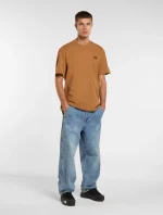 DICKIES SUMMERDALE TEE BROWN DUCK DK0A4YAI0BD1 - Image 4