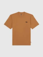 DICKIES SUMMERDALE TEE BROWN DUCK DK0A4YAI0BD1 - Image 5