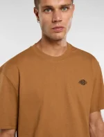 DICKIES SUMMERDALE TEE BROWN DUCK DK0A4YAI0BD1 - Image 2