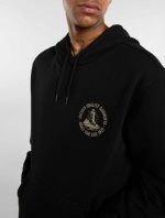 DICKIES PARROTSVILLE HOODIE BLACK DK0A87NRBLK1 - Image 3