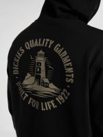 DICKIES PARROTSVILLE HOODIE BLACK DK0A87NRBLK1 - Image 2