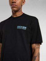 DICKIES BOLIVAR TEE BLACK DK0A87QKBLK1 - Image 4