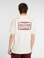 DICKIES BOLIVAR TEE EGRET DK0A87QKC481 - Image 2