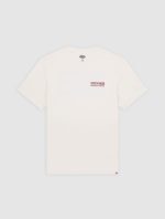 DICKIES BOLIVAR TEE EGRET DK0A87QKC481 - Image 7