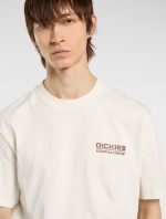 DICKIES BOLIVAR TEE EGRET DK0A87QKC481 - Image 4