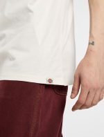 DICKIES BOLIVAR TEE EGRET DK0A87QKC481 - Image 3