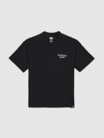 DICKIES SNEEDVILLE TEE BLACK DK0A87QOBLK1 - Image 7