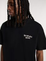 DICKIES SNEEDVILLE TEE BLACK DK0A87QOBLK1 - Image 4