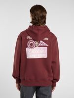 DICKIES DONUT HOUSE HOODIE ANDORRA DK0A88ATL161 - Image 4