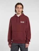 DICKIES DONUT HOUSE HOODIE ANDORRA DK0A88ATL161