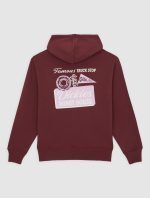 DICKIES DONUT HOUSE HOODIE ANDORRA DK0A88ATL161 - Image 7