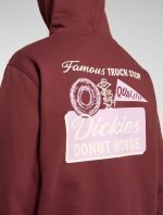 DICKIES DONUT HOUSE HOODIE ANDORRA DK0A88ATL161 - Image 2