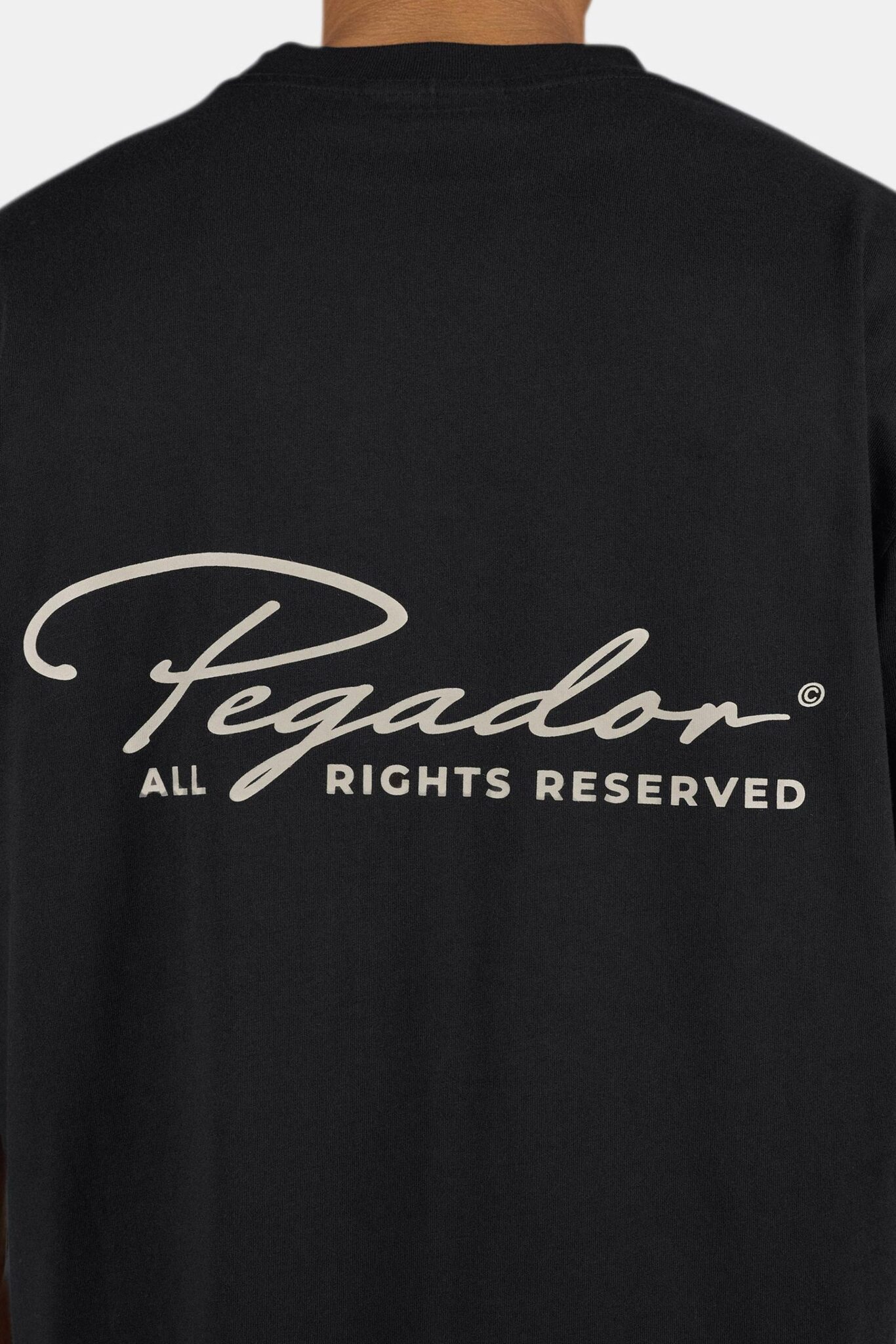PEGADOR PIKE OVERSIZED TEE WASHED BLACK 6131-002/097 - Image 2