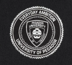 PEGADOR PATRON OVERSIZED TEE WASHED BLACK PGDR-6318-002 - Image 4