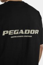 Pegador Colne Logo Oversized Tee Washed Black PGDR-2165-002/672 - Image 3
