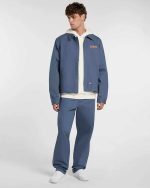 DICKIES WELLSVILLE BAGGY TAPERED RETRO INDIGO DK0A88K4RI21 - Image 6