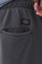 Dickies Streetsboro 13 Inch Sweat Short Black DK0A885BBLK1 - Image 4