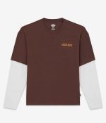 DICKIES PAYSON 2FER TEE TIMBER BROWN DK0A88JF0TB1 - Image 3