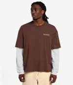 DICKIES PAYSON 2FER TEE TIMBER BROWN DK0A88JF0TB1