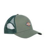 Dickies Hanston Trucker Cap Eucalyptus DK0A4YV3L441 - Image 3