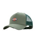 Dickies Hanston Trucker Cap Eucalyptus DK0A4YV3L441
