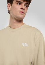 DICKIES SUMMERDALE TEE EUCALYPTUS DK0A4YAIL441 - Image 2