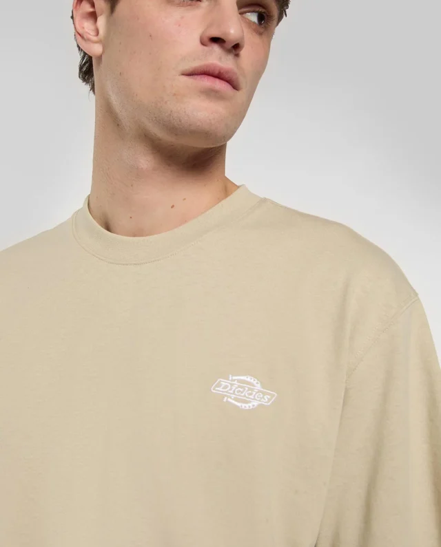 DICKIES SUMMERDALE TEE EUCALYPTUS DK0A4YAIL441 - DICKIES