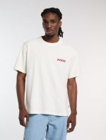 DICKIES DRY RIDGE TEE EGRET DK0A8853C481