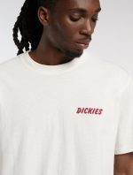 DICKIES DRY RIDGE TEE EGRET DK0A8853C481 - Image 3