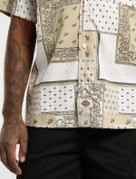 DICKIES GLANDORF SHIRT EGRET DK0A889TC481 - Image 5