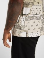 DICKIES GLANDORF SHIRT EGRET DK0A889TC481 - Image 6