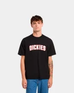 DICKIES AITKIN TEE BLACK DK0A88GLBLK1 - Image 3