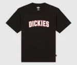 DICKIES AITKIN TEE BLACK DK0A88GLBLK1