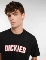 DICKIES AITKIN TEE BLACK DK0A88GLBLK1 - Image 2