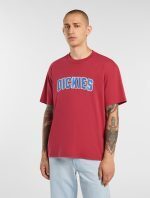 DICKIES AITKIN TEE GARNET DK0A88GLL331