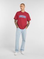 DICKIES AITKIN TEE GARNET DK0A88GLL331 - Image 4